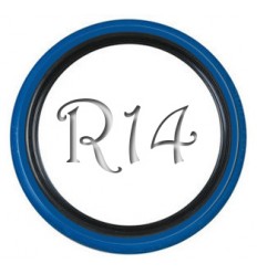 Флипперы Twin Color black-blue R13 (4 шт.)
