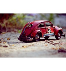 Volkswagen Beetle Race 