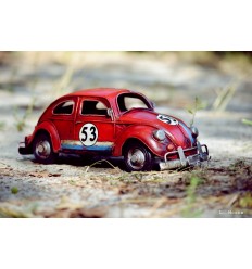 Volkswagen Beetle Race 