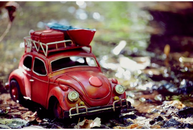 Volkswagen Beetle с лодкой