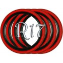 Флипперы Twin Color black-red R17 (4 шт.)